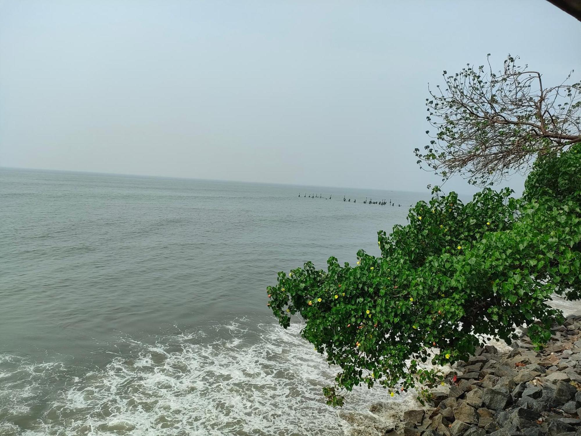 Coastal Den Homestay Pallipuram Eksteriør bilde